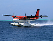 Twin Otter DHC-6 - Photo und Copyright by  HeliWeb