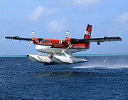 Twin Otter DHC-6 - Photo und Copyright by  HeliWeb