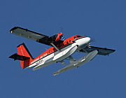 Twin Otter DHC-6 - Photo und Copyright by  HeliWeb