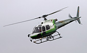 Rhein Helikopter AG (SH AG) - Photo und Copyright by  HeliWeb