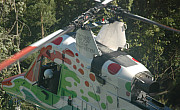 Rotex Helicopter AG - Photo und Copyright by Nick Dpp