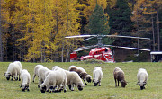 Helog Heliswiss AG - Photo und Copyright by Raphael Erbetta