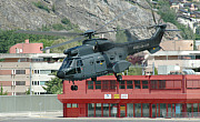 French Army - Photo und Copyright by Nick Dpp