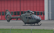 Swiss Air Force - Photo und Copyright by Nick Dpp