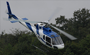 Butterfly Helicopters - Photo und Copyright by Nick Dpp