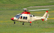 Agusta Westland - Photo und Copyright by Nick Dpp