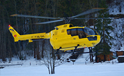 Lions Air Skymedia AG - Photo und Copyright by Bruno Siegfried