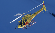 Heli Bernina AG - Photo und Copyright by Bruno Siegfried