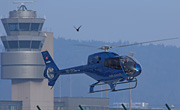 Heli-Zri AG - Photo und Copyright by  HeliWeb