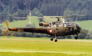 Austrian Army - Photo und Copyright by Walter Schachner