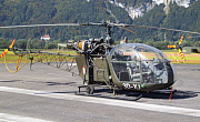 Austrian Army - Photo und Copyright by Walter Schachner