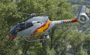 Spain Air Force - Photo und Copyright by Nick Dpp